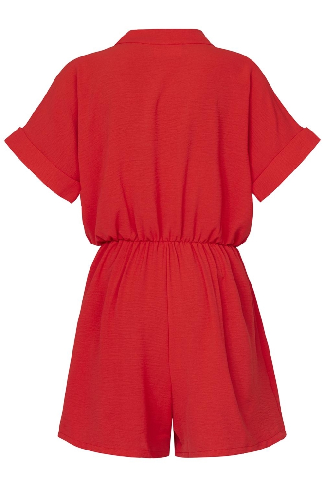 NINA PL 17835 RUBY